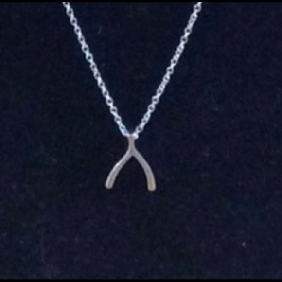 Jewelry - Sterling Wishbone Necklace